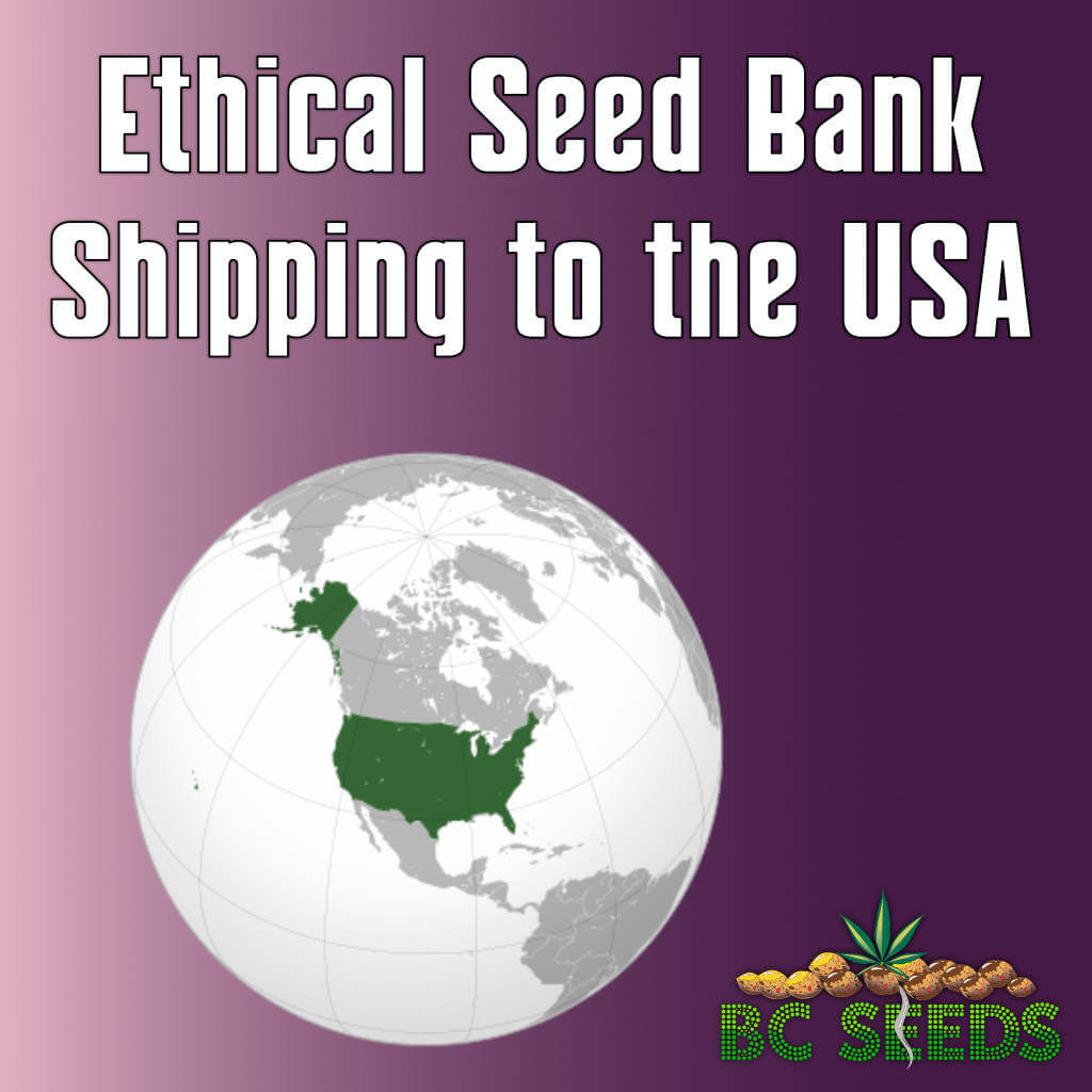 Ethical Seed Bank shipping to the USA