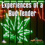 Experiences of a Bud Tender