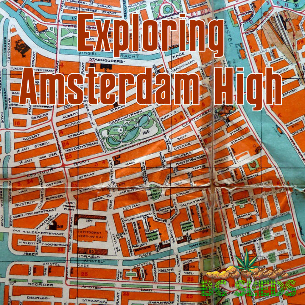 Exploring Amsterdam High