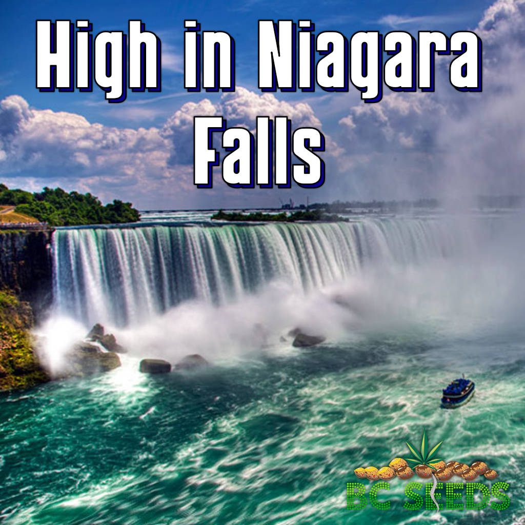 High in Niagara Falls