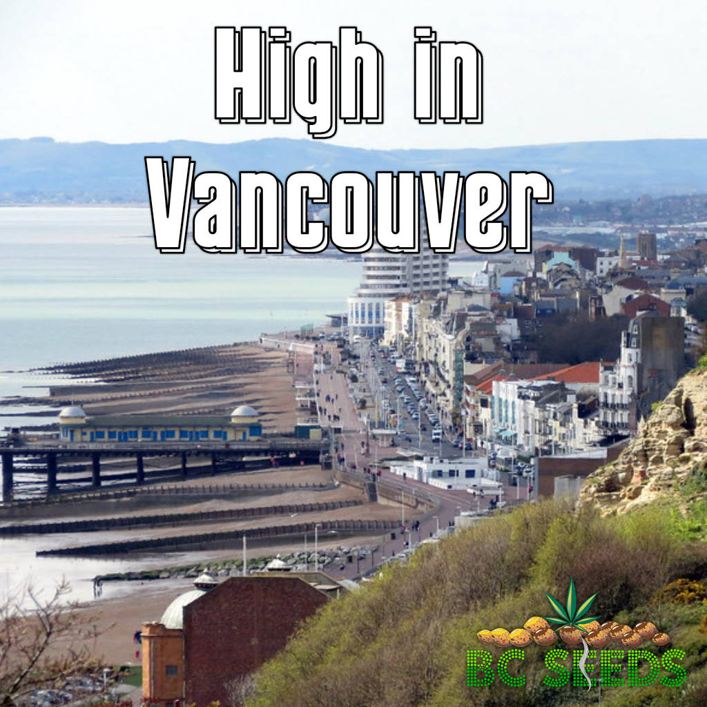High in Vancouver