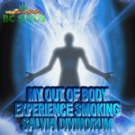 My Out of Body Experience Smoking Salvia Divinorum