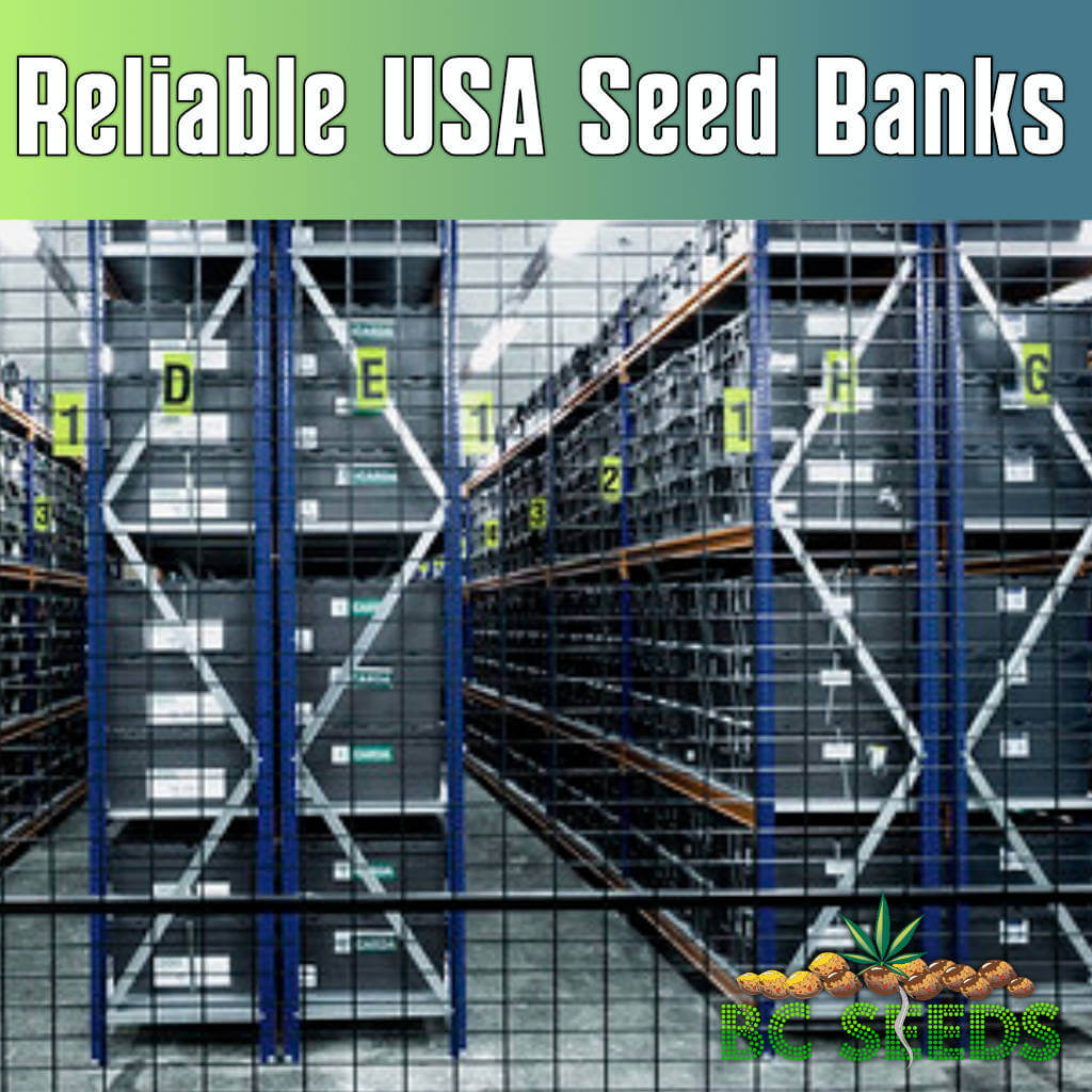Reliable USA Seed Banks