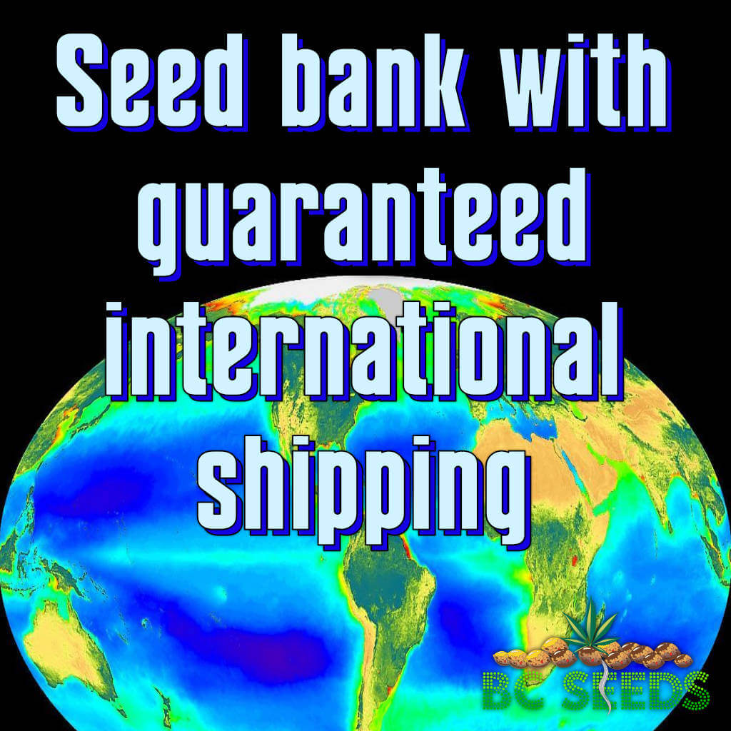 Seed bank with guaranteed international shipping