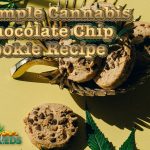 Simple Cannabis Chocolate Chip Cookie Recipe
