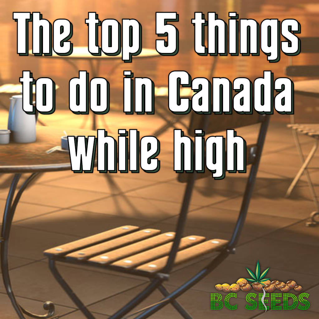 Top 5 things to do in Canada while high