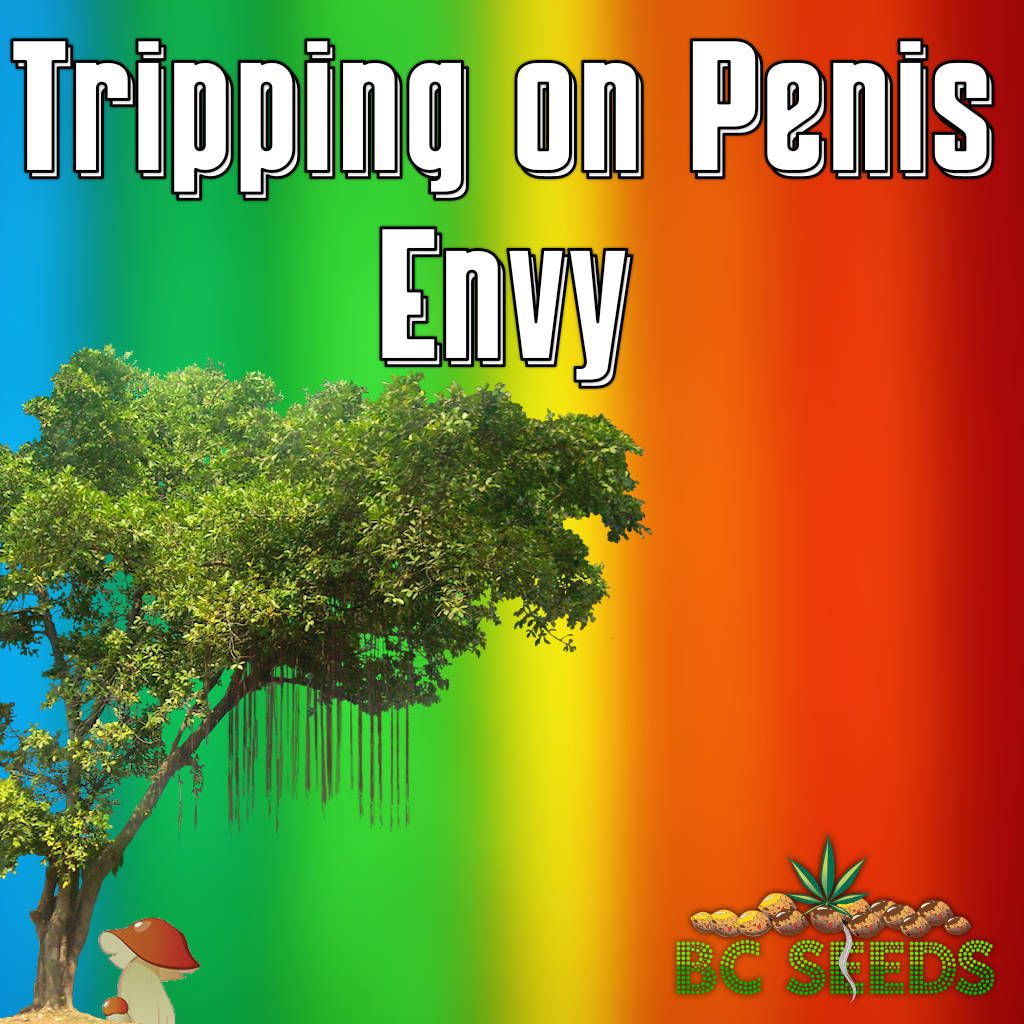 Tripping on Penis Envy