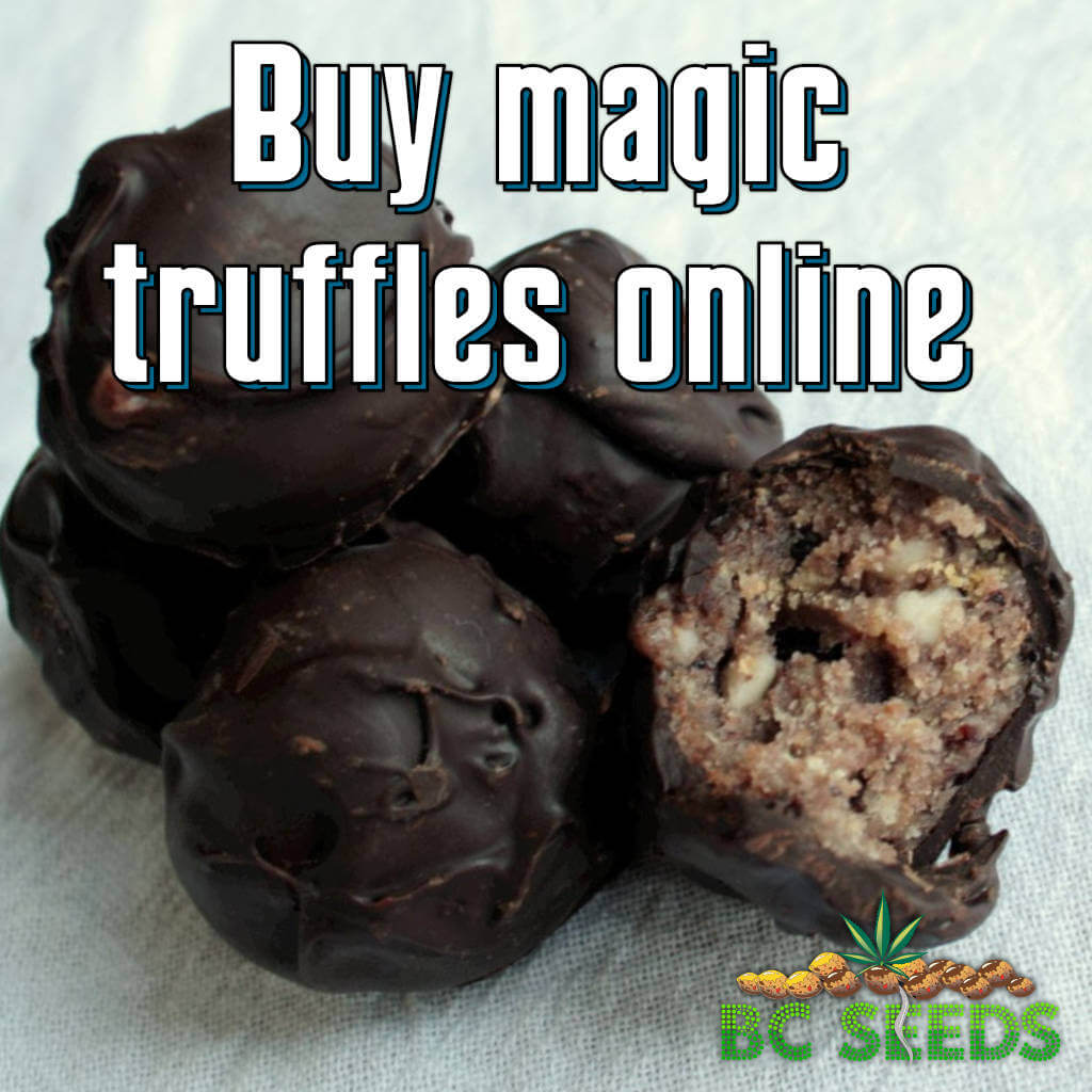 Buy magic truffles online