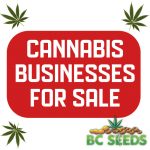 Cannabis Business For Sale