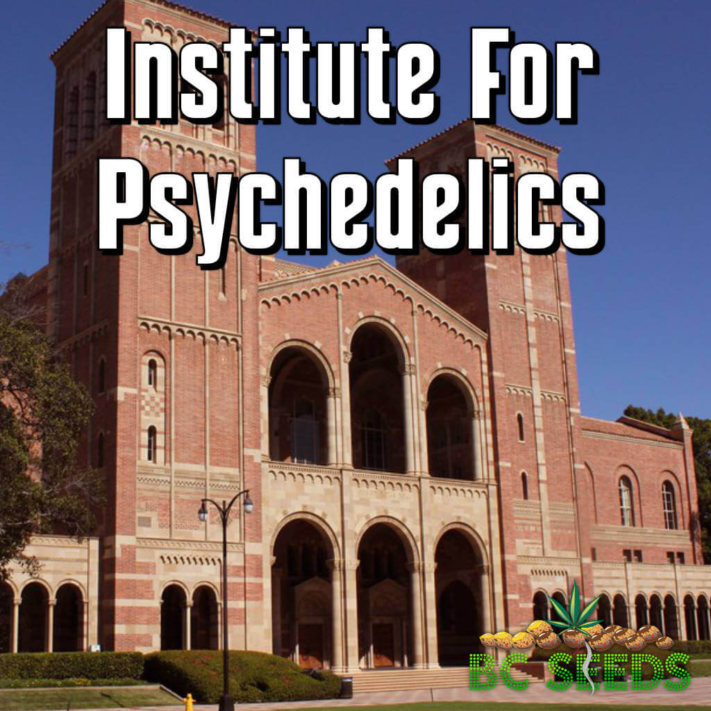 Institute for Psychedelics