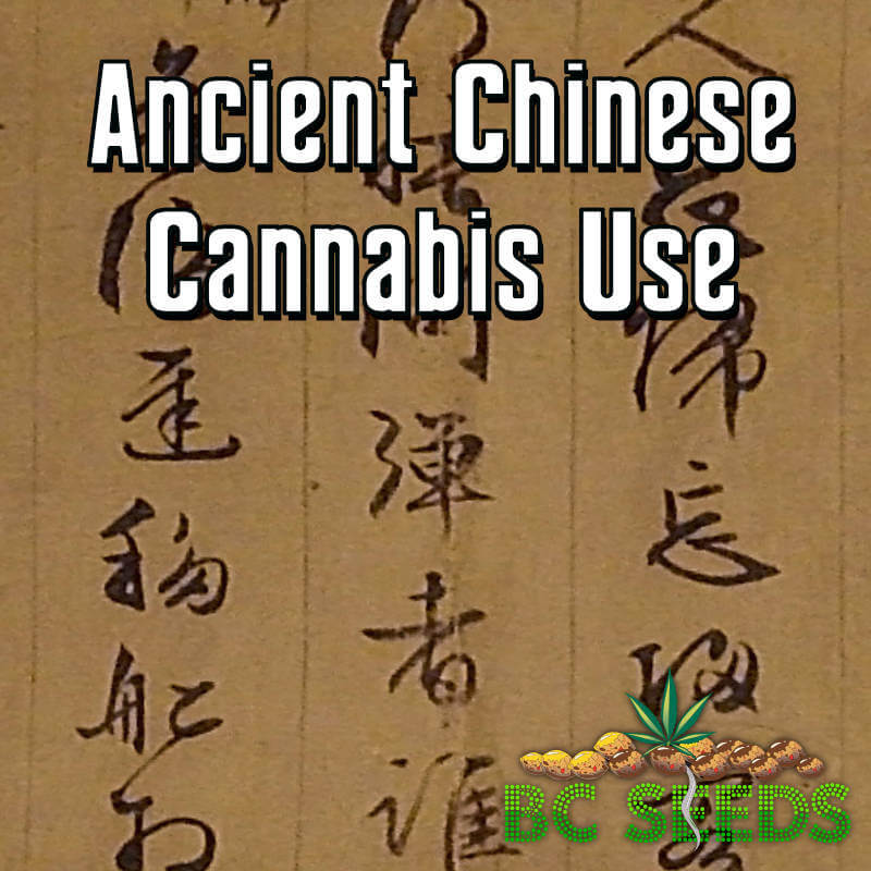 Ancient Chinese Cannabis Use