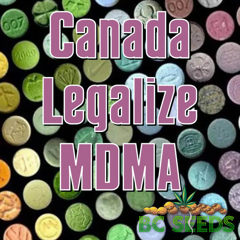 Canada Legalize MDMA
