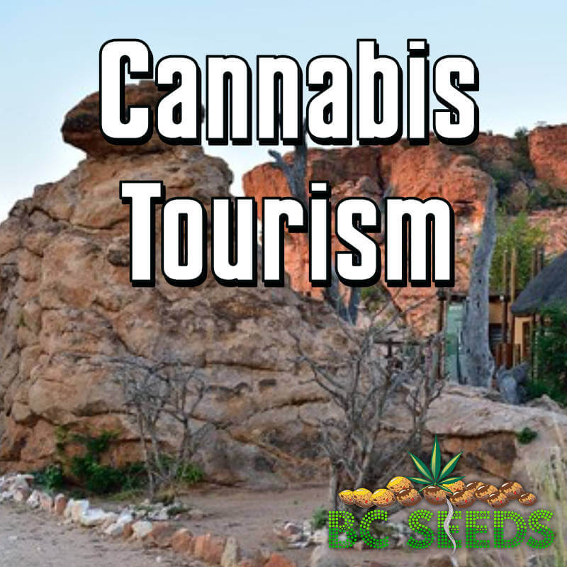 Cannabis Tourism