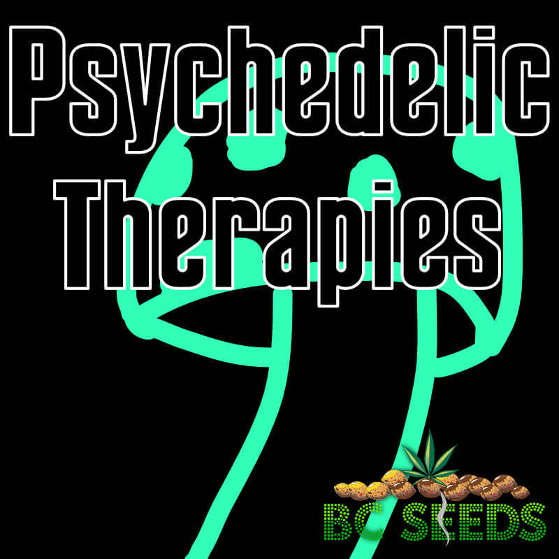 Psychedelic Therapies