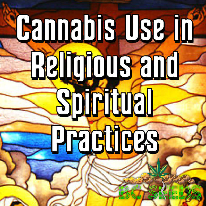 Cannabis Use in Religious and Spiritual Practices