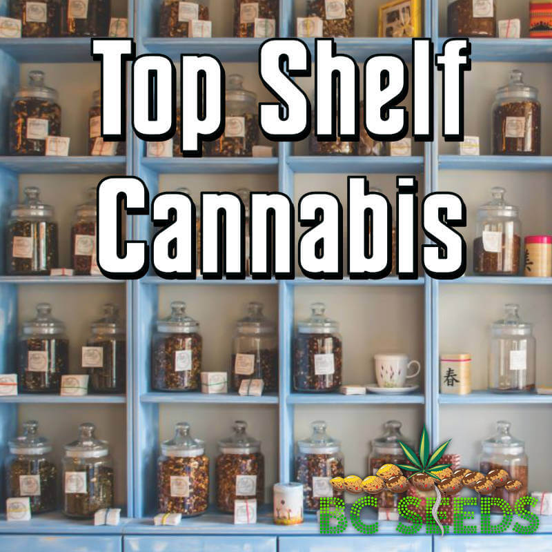 Top Shelf Cannabis