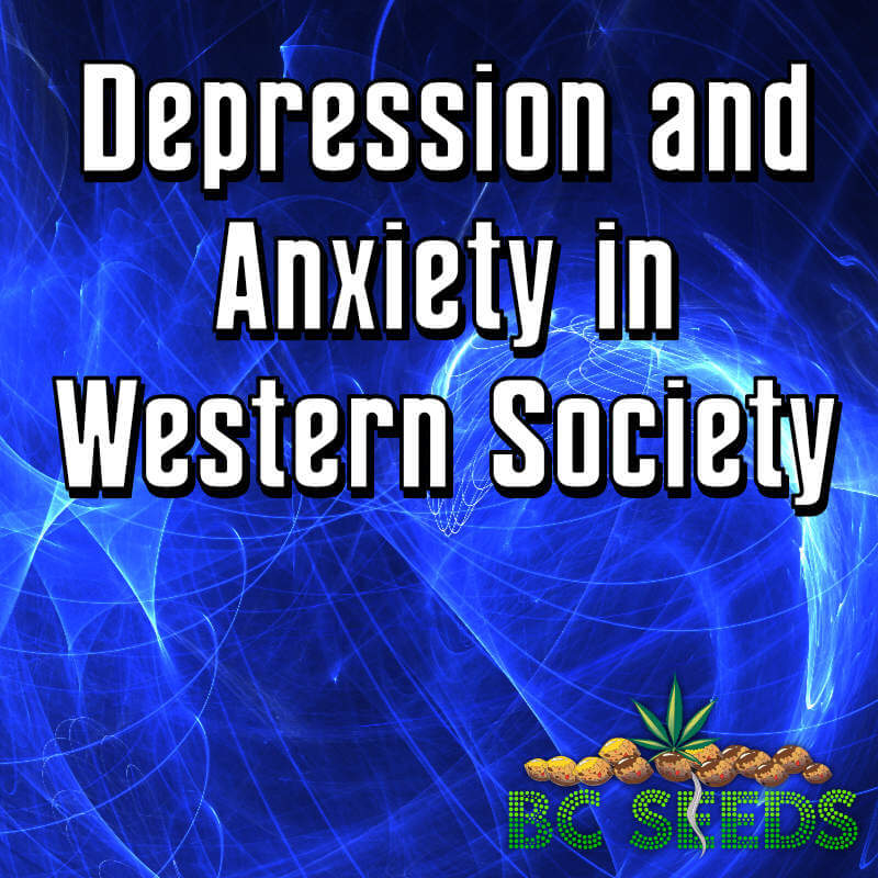 Depression and Anxiety in Western Society