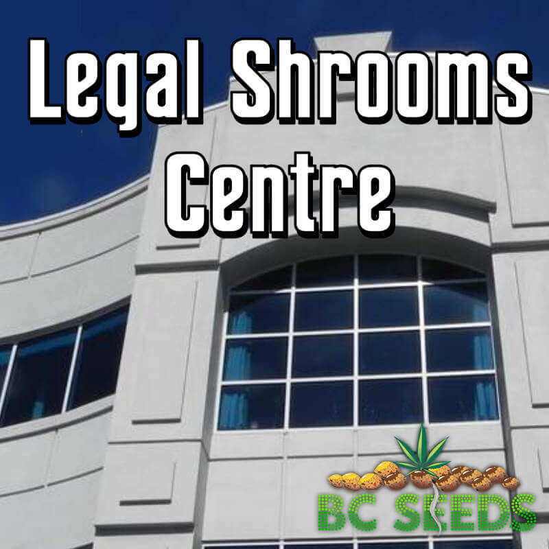 Legal Shrooms Centre