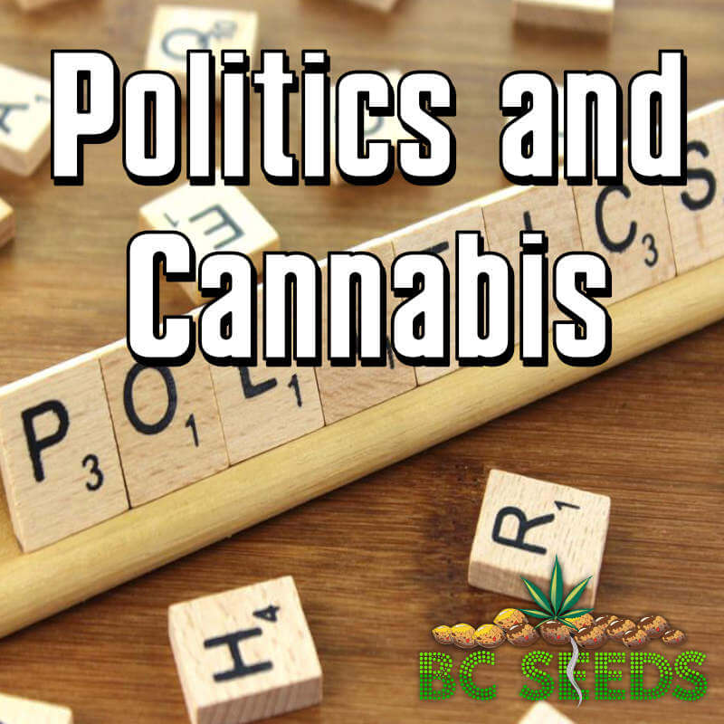 Politics and Cannabis