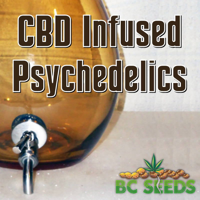 CBD Infused Psychedelics