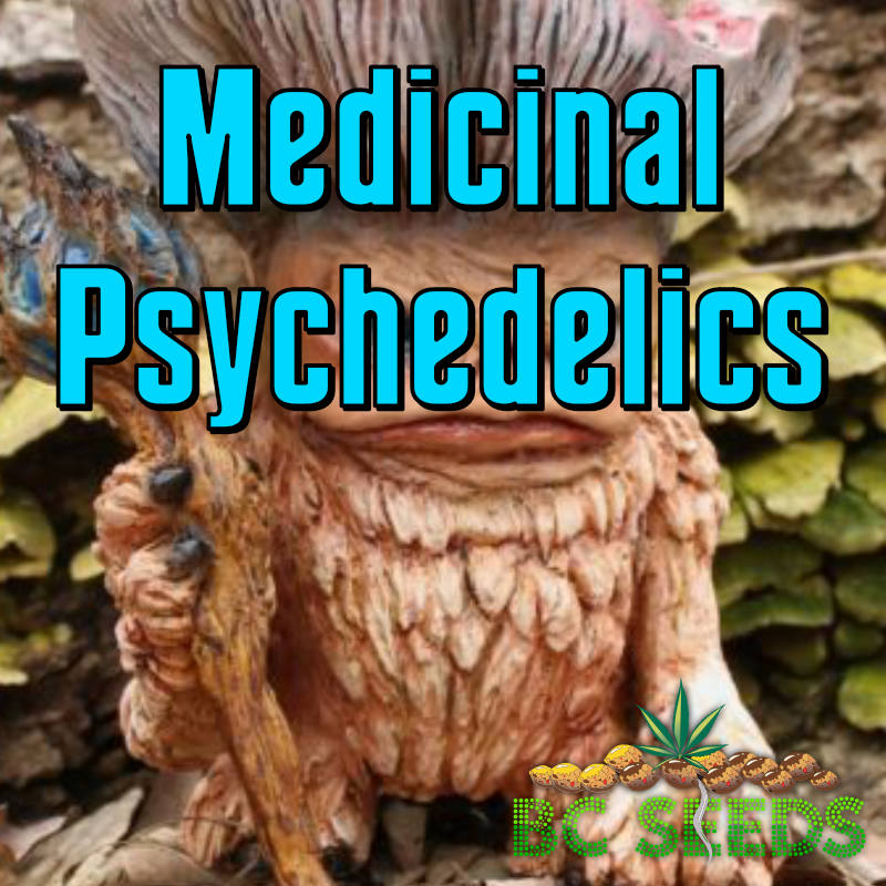 Medicinal Psychedelics