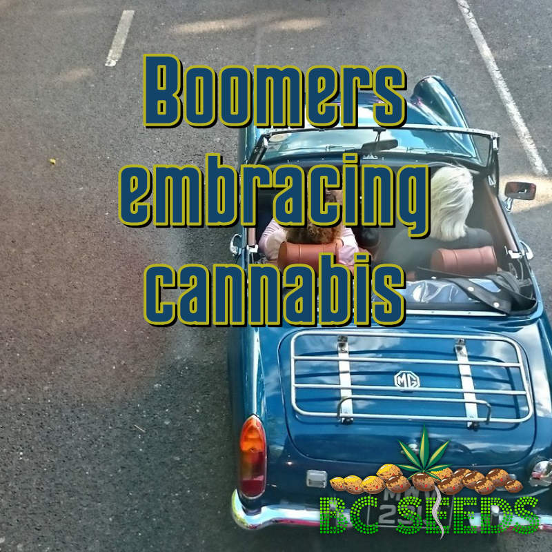 Boomers Embracing Cannabis