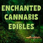 Enchanted Cannabis Edibles