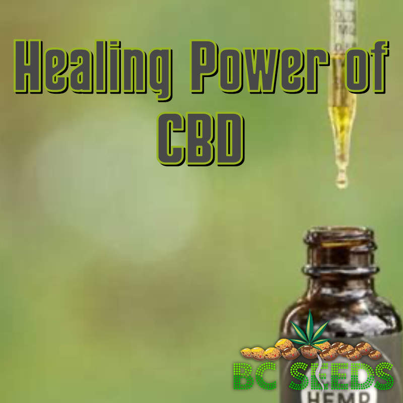 Healing Power of CBD