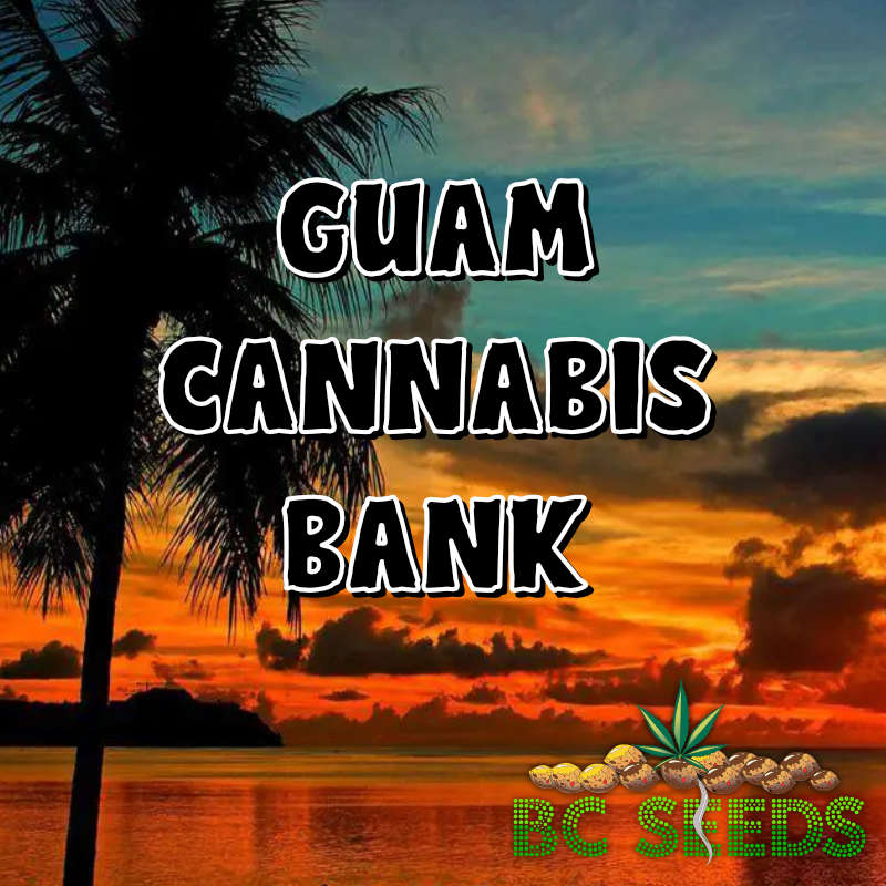 Guam Cannabis Bank