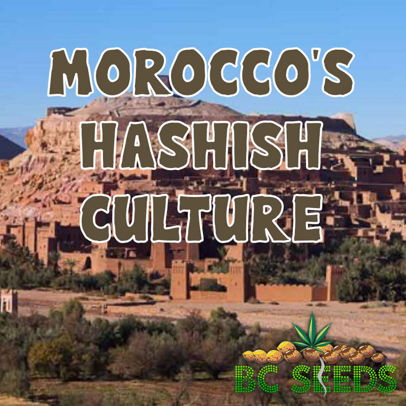 Morocco's Hashish Culture