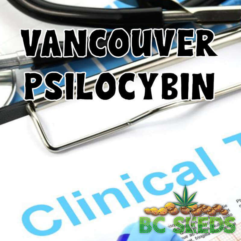 Vancouver Psilocybin
