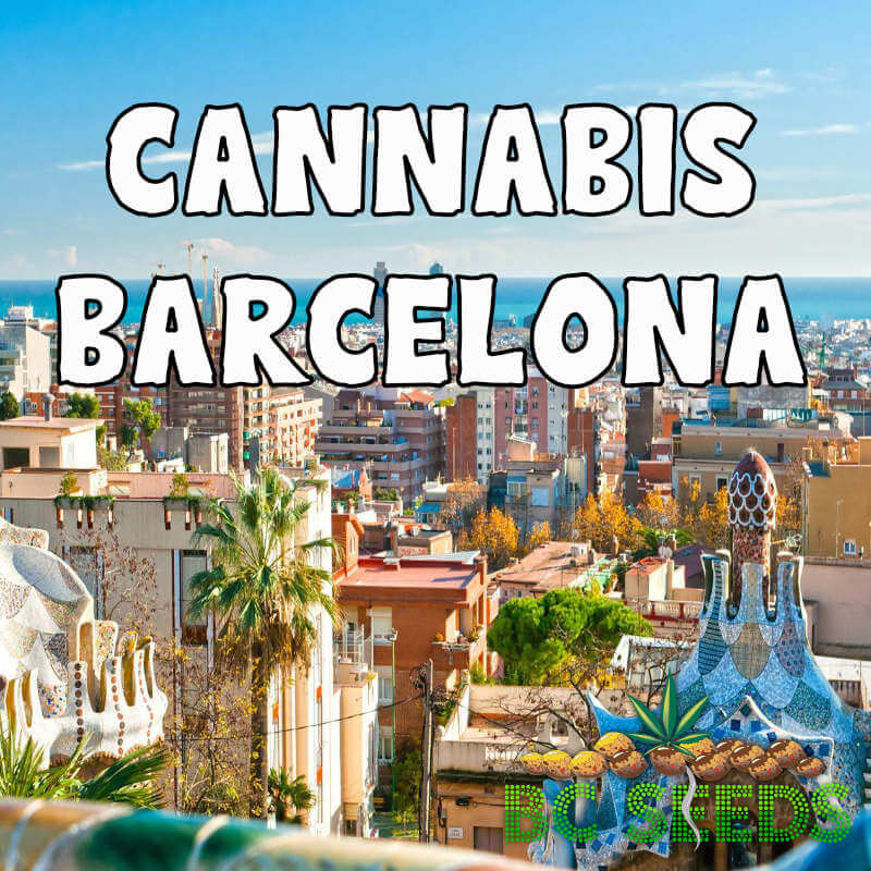 Cannabis Barcelona