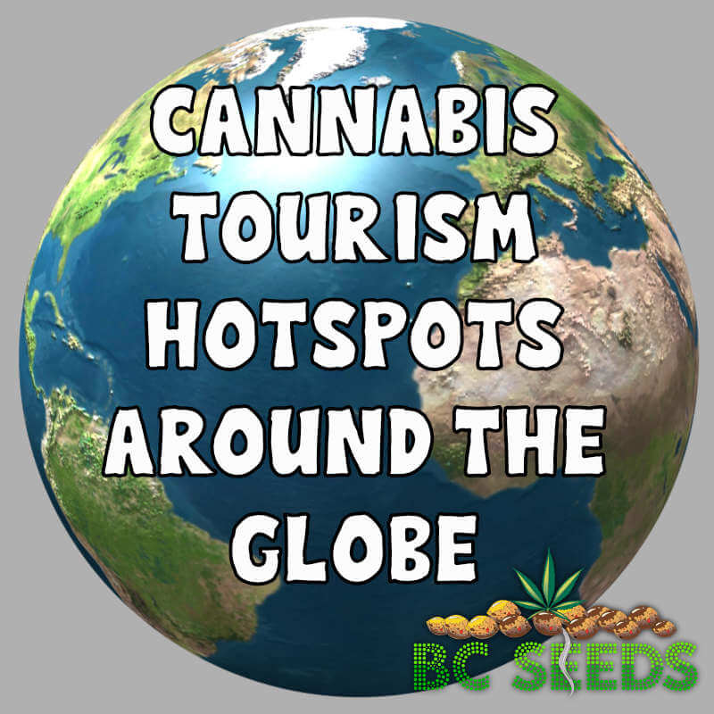 Cannabis Tourism Hotspots Around the Globe