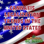 Cannabis Legalization Trends in the United States