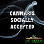 Cannabis Socially Accepted