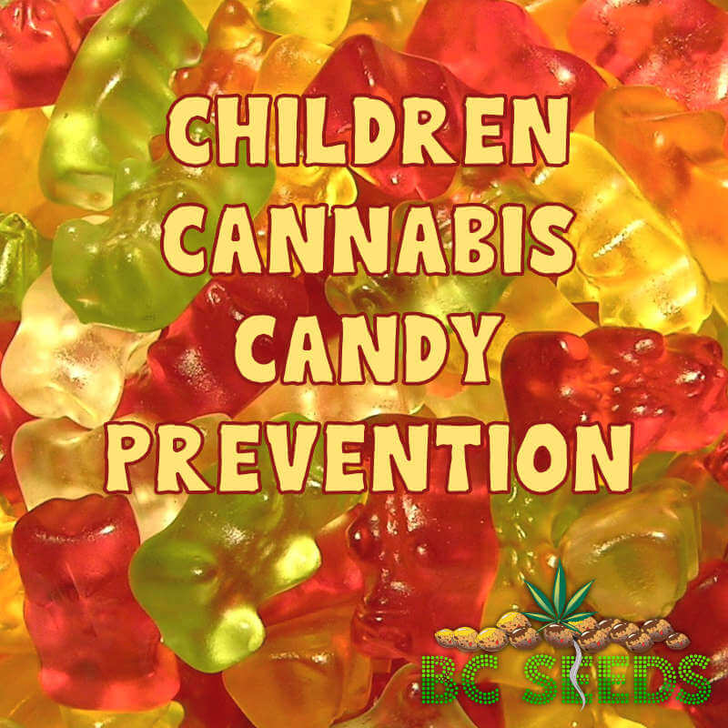 Children Cannabis Candy Prevention