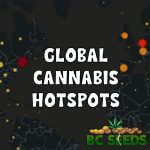 Global Cannabis Hotspots