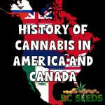 History of Cannabis in America and Canada