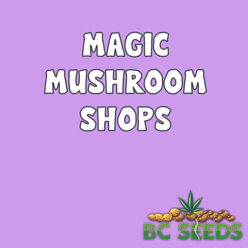 Magic Mushroom Shops