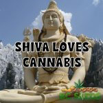 Shiva Loves Cannabis