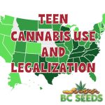 Teen Cannabis Use and Legalization