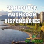 Vancouver Mushroom Dispensaries